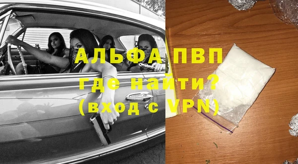 гашик Алексеевка