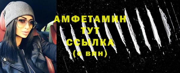гашик Алексеевка